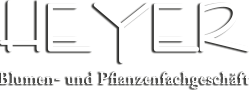 Blumen Heyer